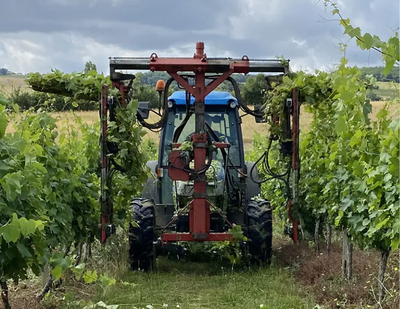 Image d'illustration d'un tracteur dans les vignes
